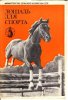 лошадь для спорта._0001.jpg