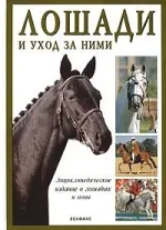 лошади и уход за ними..webp
