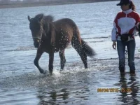 99e27dd3496b[1].webp