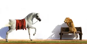 escape-with-lion.webp