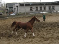 001.webp