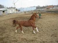 002.webp