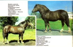 КК 12-1990._0002.webp