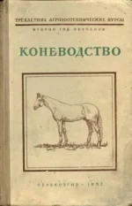 Калинин-Коневоство.webp