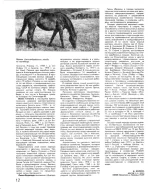 ПОРОДА_0005.webp