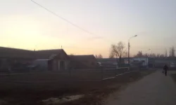 10042010181.webp