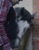 10042010195.jpg