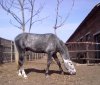 11042010207.jpg