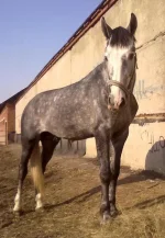 11042010212.webp