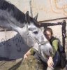 11042010210.jpg