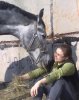 11042010211.jpg