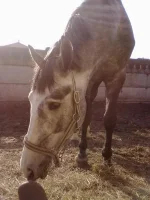 11042010240.webp