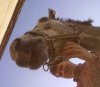11042010247.jpg