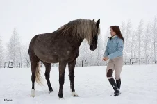 x_9e2a33fb.webp