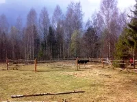 230420102217.webp