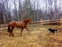 230420102214.webp