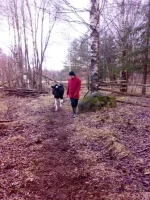 230420102220.webp