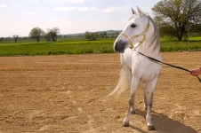 picture-126.webp