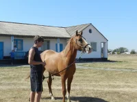 DSCN9670.webp
