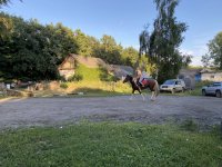 AB725F6D-0B7B-4A65-BE00-287F075D4D84.jpeg