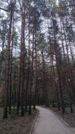 IMG_20220817_195737.jpg
