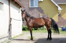 WhatsApp Image 2022-08-04 at 16.59.01 (2).jpeg