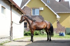 WhatsApp Image 2022-08-04 at 16.59.01 (3).jpeg