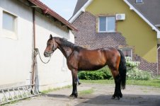 WhatsApp Image 2022-08-04 at 16.59.01 (4).jpeg