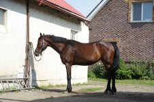 WhatsApp Image 2022-08-04 at 16.59.01 (5).jpeg