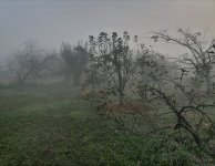 IMG_20220831_092755.jpg