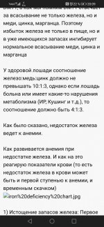 Screenshot_20220902_200927_com.android.chrome.jpg