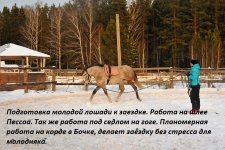 DSC_9381 (2).JPG
