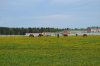 DSC_0148.jpg
