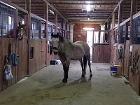IMG_20221018_140321.jpg
