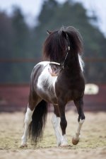 qcUe9L71SMo.jpg
