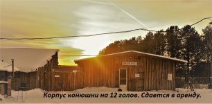 DSC_9379 (2).JPG