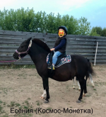 6E04FC43-C306-4C57-AF11-812727E2AB12.png 6E04FC43-C306-4C57-AF11-812727E2AB12.png