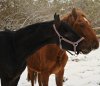 _DSC0021аа.jpg