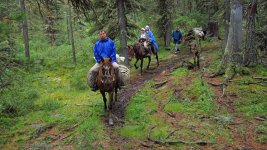 IMG_0461.jpg