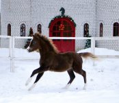 IMG_2572.jpeg