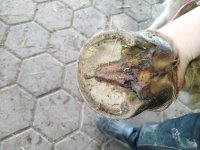 IMG_20230127_094702.jpg