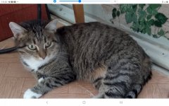 Screenshot_20230221-184050_Samsung Internet.jpg