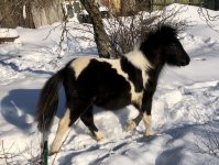 9FBB6CFE-EF8A-4780-AD77-D3D37C351317.jpeg 9FBB6CFE-EF8A-4780-AD77-D3D37C351317.jpeg