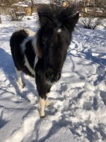 67696EE5-A4B3-4ED6-9179-9CB466F77FA2.jpeg 67696EE5-A4B3-4ED6-9179-9CB466F77FA2.jpeg