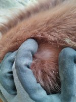 IMG_20230329_174804.jpg