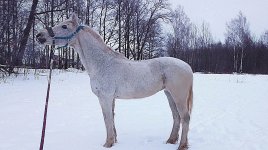 YMWv5RhBmr8.jpg