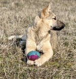 83279F5D-1224-4F5F-A8DF-F101F75EA499.jpeg