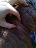IMG_20230410_100329.jpg