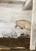 62D0B337-8A5F-4E94-A620-A6C0FE33D04F.jpeg 62D0B337-8A5F-4E94-A620-A6C0FE33D04F.jpeg