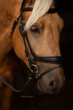 82B7FEBF-BF7F-4582-A439-E1A1ABB6D150.jpeg 82B7FEBF-BF7F-4582-A439-E1A1ABB6D150.jpeg